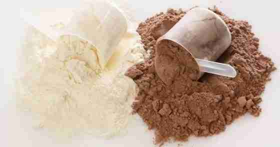 A Guide To Choosing Protein Powders
