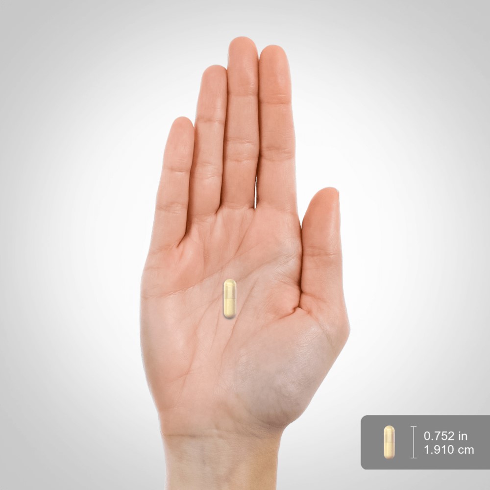 Piping Rock Cordyceps Mushroom 2000mg CS-4 Strain - 200 Quick Release Capsules Piping Rock Cordyceps Mushroom 2000mg CS-4 Strain - 200 Quick Release Capsules